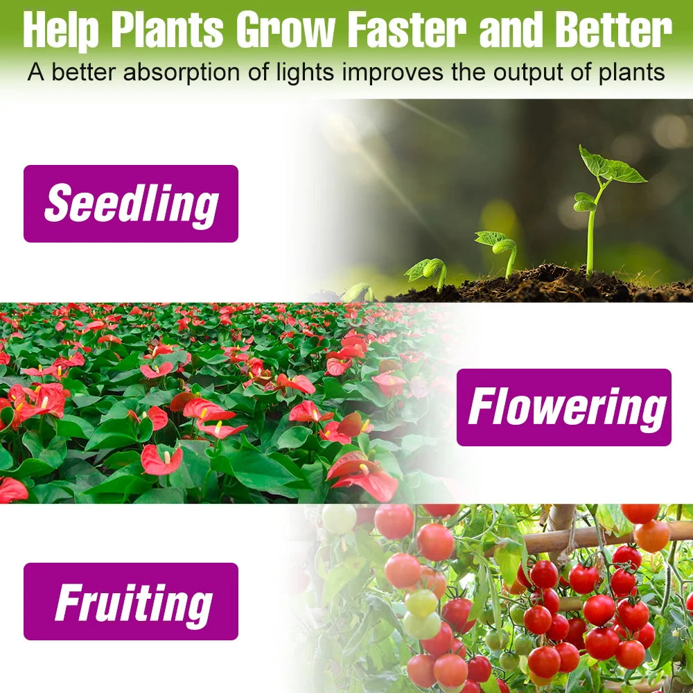 E27 LED Plant Grow Lights GU10 Full Spectrum Indoor Hydroponics Flower Seeds Vegetables Cultivation Lamp E14 MR16 B22 GU5.3 Bulb
