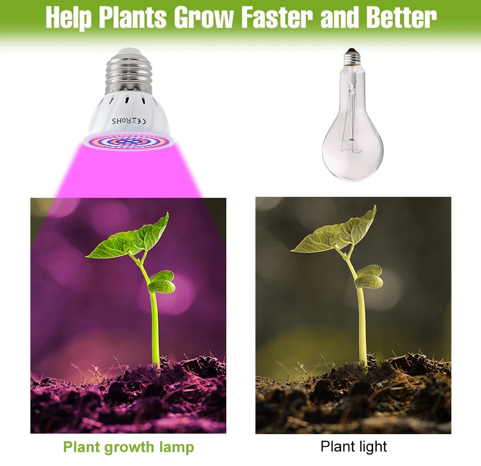 E27 LED Plant Grow Lights GU10 Full Spectrum Indoor Hydroponics Flower Seeds Vegetables Cultivation Lamp E14 MR16 B22 GU5.3 Bulb