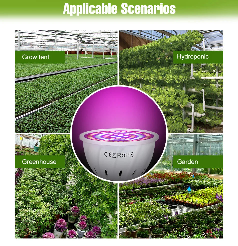 E27 LED Plant Grow Lights GU10 Full Spectrum Indoor Hydroponics Flower Seeds Vegetables Cultivation Lamp E14 MR16 B22 GU5.3 Bulb